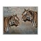 Stupell Industries Mirrored Tiger Duo Framed Giclee Wall Art Design by Svetlana Aleynikova